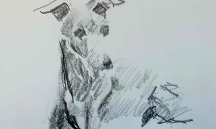 NEW | 15x15cm | drawing x paper #dog