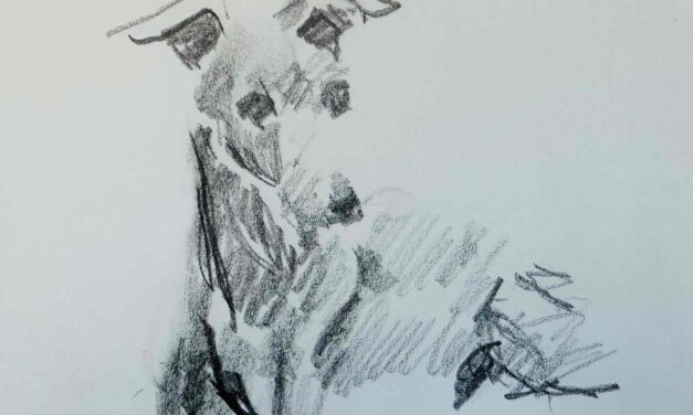 NEW | 15x15cm | drawing x paper #dog