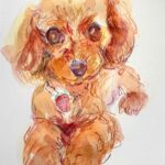 NEW & SOLD | 29x22cm | watercolour x paper | #doggy