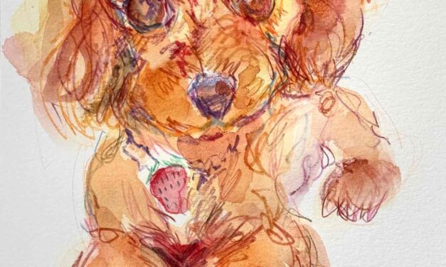 NEW & SOLD | 29x22cm | watercolour x paper | #doggy