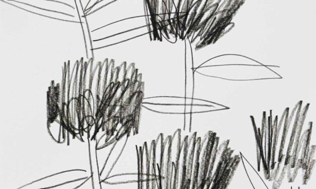 new | 29x21cm | drawing x paper #art