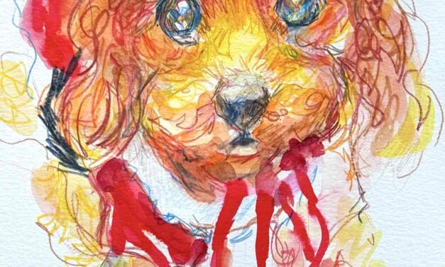 NEW | 29x22cm | drawing x paper #dog