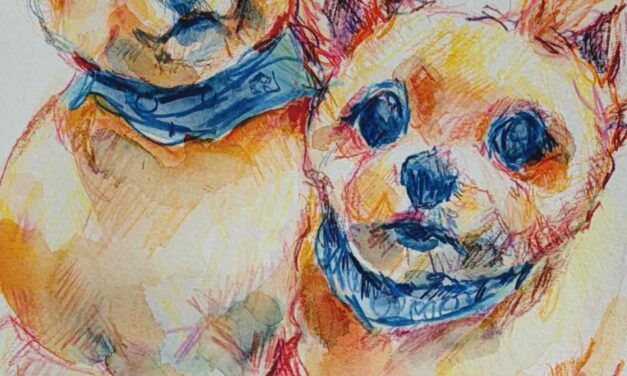 NEW & SOLD | 29x22cm | watercolour x paper | #doggy
